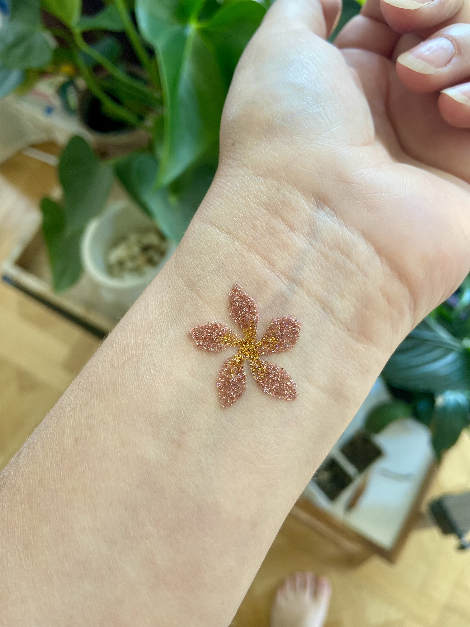 Lauranoe Facepainting, stand de maquillage artistique, alsace, paillettes, paillettes biodégradables, animation maquillage, maquillage enfant, bodypainting, festival, tatouages à paillettes, bar à paillettes, soirée, évènements